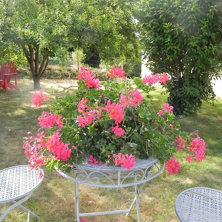 Les Patis Bed & Breakfast Vouvray Eksteriør bilde