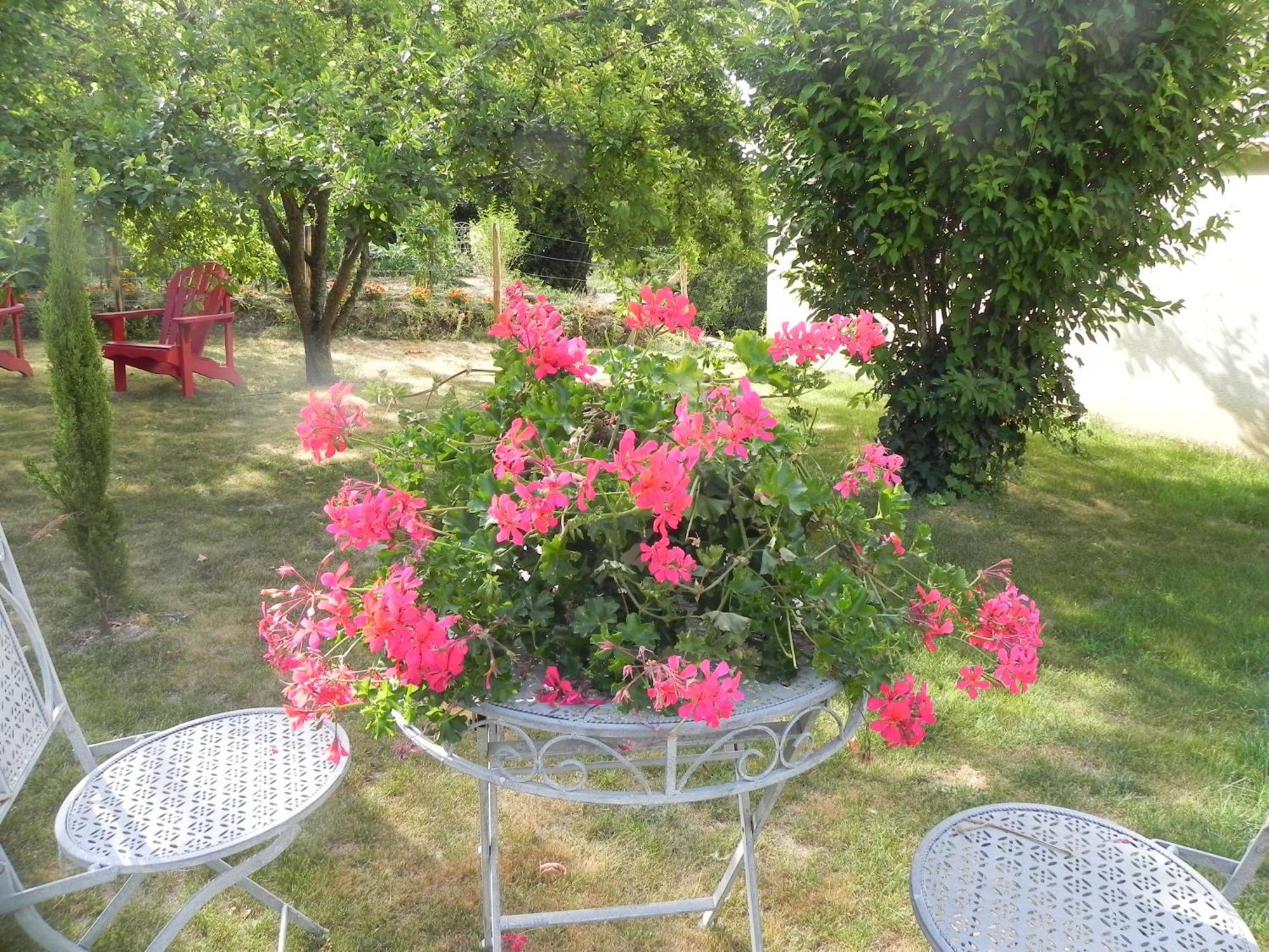 Les Patis Bed & Breakfast Vouvray Eksteriør bilde